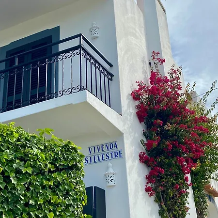 Vivenda Silvestre Family House * אלבופיירה