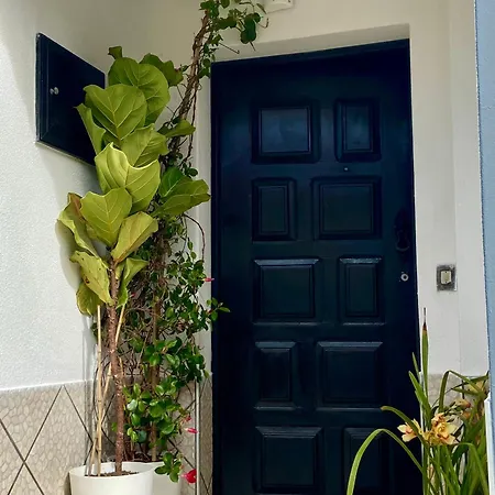 빌라 Vivenda Silvestre Family House